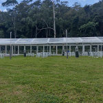 6x24 Clear Roof Marquee at Natural Bridge